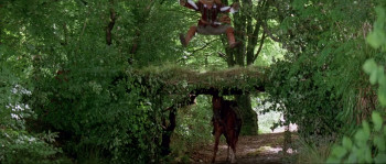 The Three Musketeers (1992) download